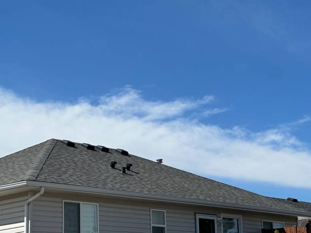 Best Cold Roofs  in Honesdale, PA